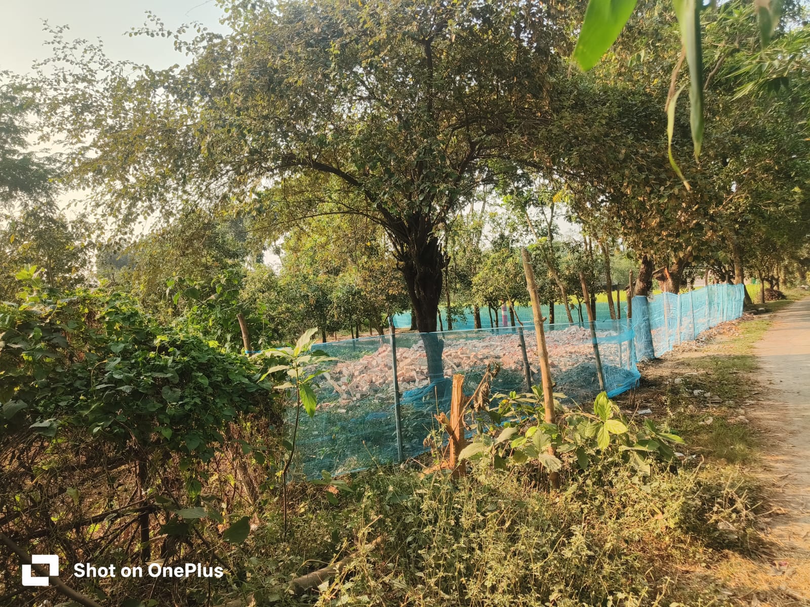 নাচোলে লিজের মেয়াদ শেষে ১১ বিঘা জমি দখলে রাখার অভিযোগ